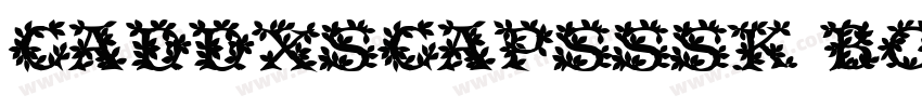 CaddySCapsSSK Bold字体转换
